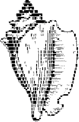 ascii_conch_part_transparent_tight